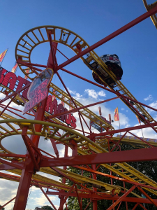 katz-maus-fte-ahrend-663150e118b8a